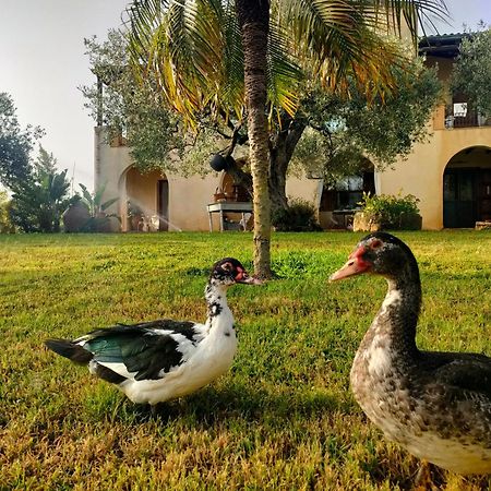 Bed and Breakfast La Finestra Sul Limone Castelvetrano Екстер'єр фото
