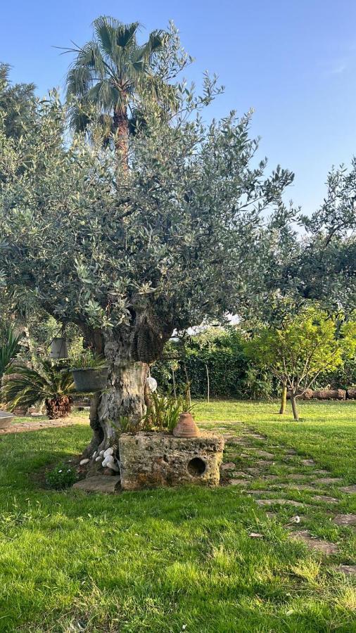Bed and Breakfast La Finestra Sul Limone Castelvetrano Екстер'єр фото