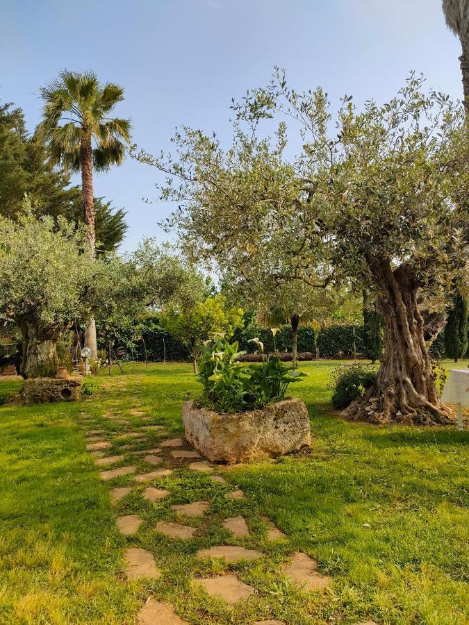 Bed and Breakfast La Finestra Sul Limone Castelvetrano Екстер'єр фото