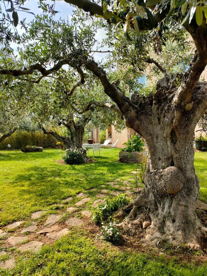 Bed and Breakfast La Finestra Sul Limone Castelvetrano Екстер'єр фото
