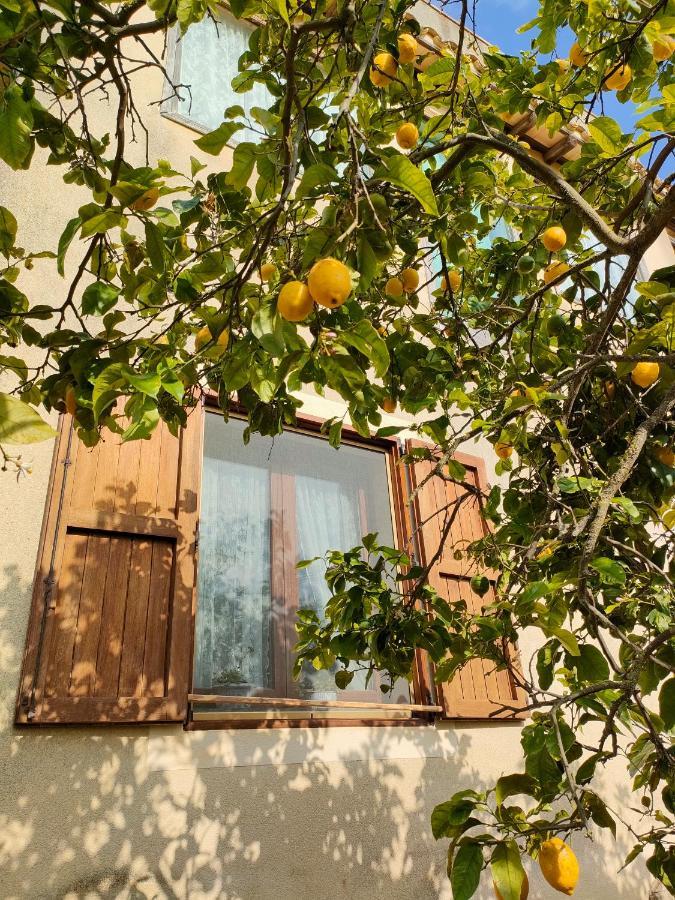 Bed and Breakfast La Finestra Sul Limone Castelvetrano Екстер'єр фото