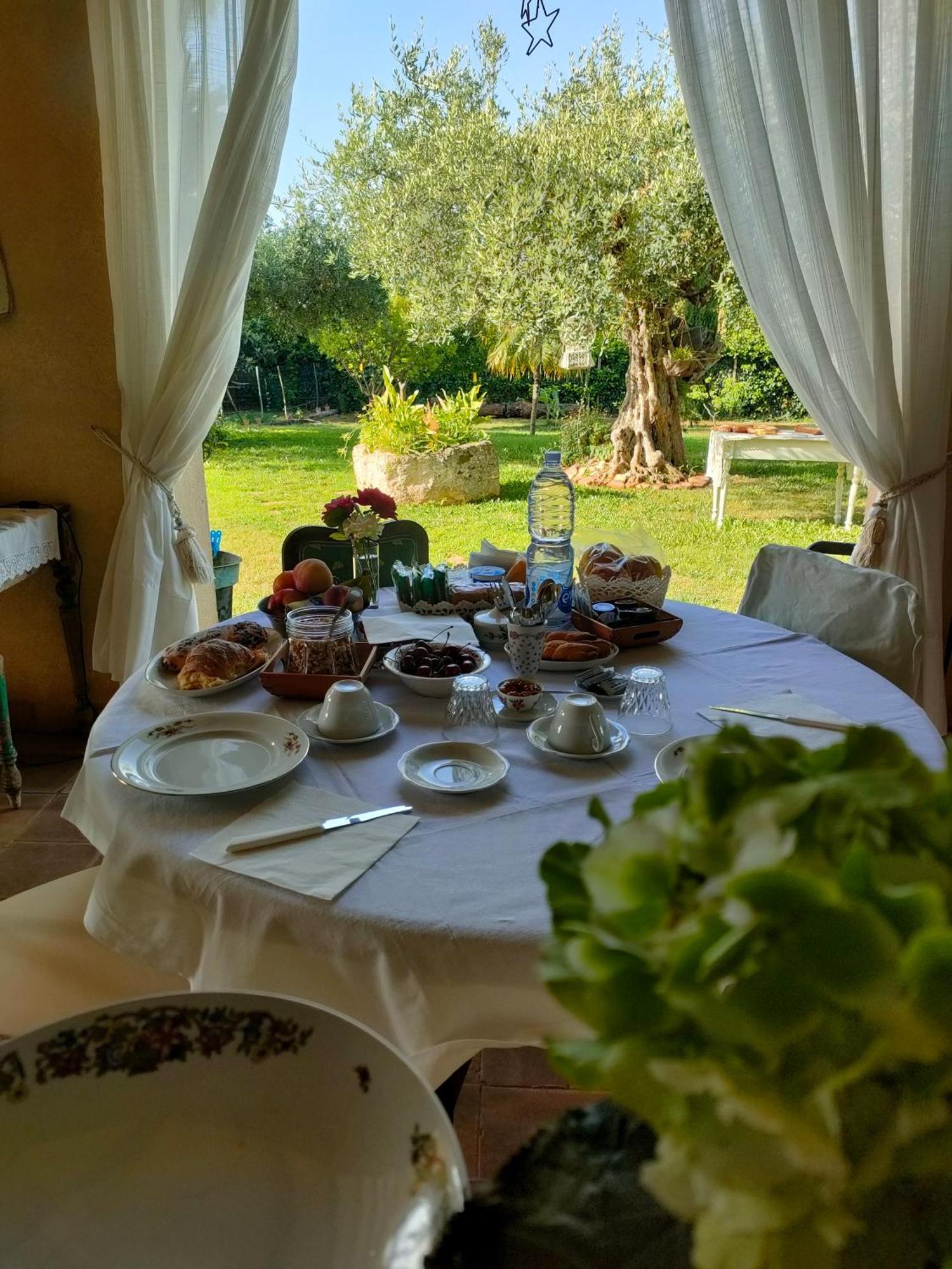Bed and Breakfast La Finestra Sul Limone Castelvetrano Екстер'єр фото